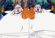 one_piece_charakterekotori.jpg