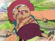 one_piece_charaktereaum5.jpg