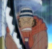 one_piece_charakterekamonegi.jpg
