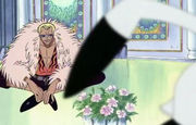 one_piece_charakteredon_quichotte_de_flamingo4.jpg