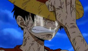 one_piece_charakteremonkey_d_ruffy17.jpg