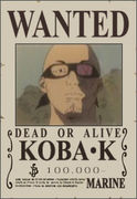 one_piece_steckbriefe56.jpg