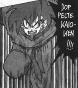 doppelte_kaioken.jpg