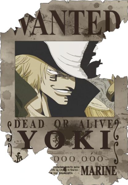one_piece_steckbriefe21.png