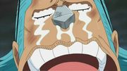 one_piece_charakterefranky25.jpg