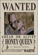 one_piece_steckbriefe42.png