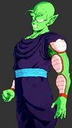 piccolo.gif