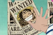 one_piece_charakteremonkey_d_ruffy13.jpg