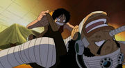 one_piece_charakteremonkey_d_ruffy16.jpg